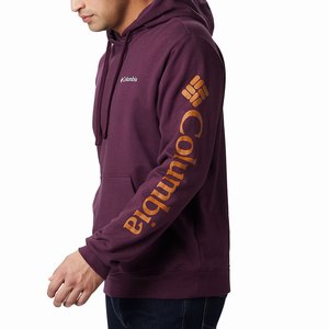 Columbia Viewmont™ II Sleeve Graphic Hoodie Herr Lila/Orange (YQLWT1387)